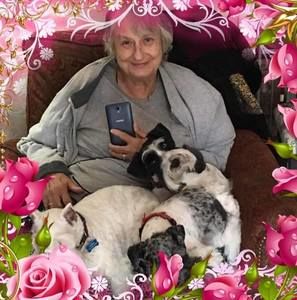 Meet your Posher, Brenda